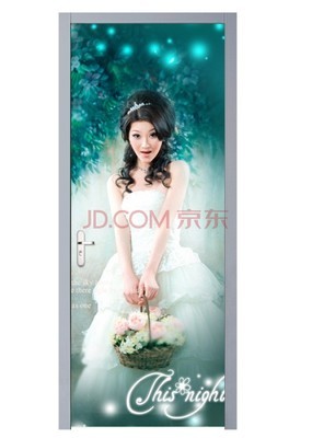 实木复合瓷绘套装门 CH-000图片